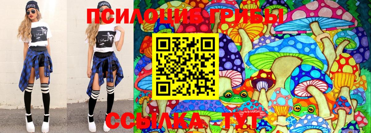 Псилоцибиновые грибы GOLDEN TEACHER Новоуральск