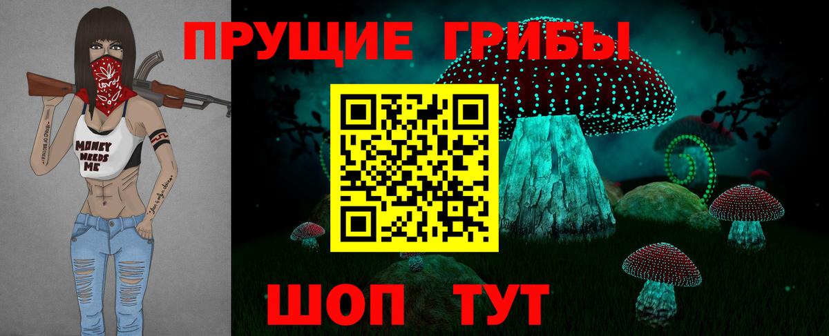 Новоуральск  Псилоцибиновые грибы Cubensis  закладка  Вход с VPN 